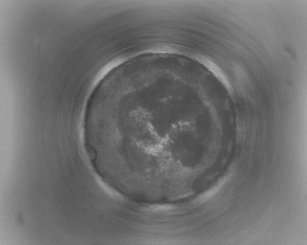 X0000116780845200912241141