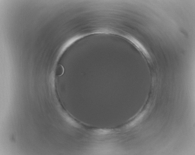 X0000116780854200912241141