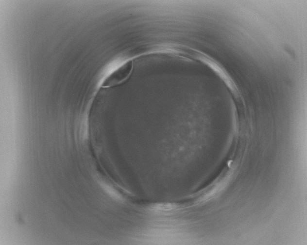 X0000116780858200912241141