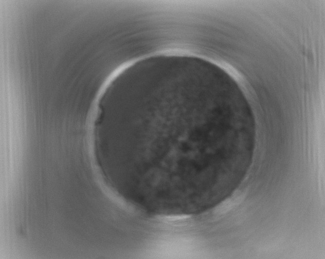 X0000116780864200912241141