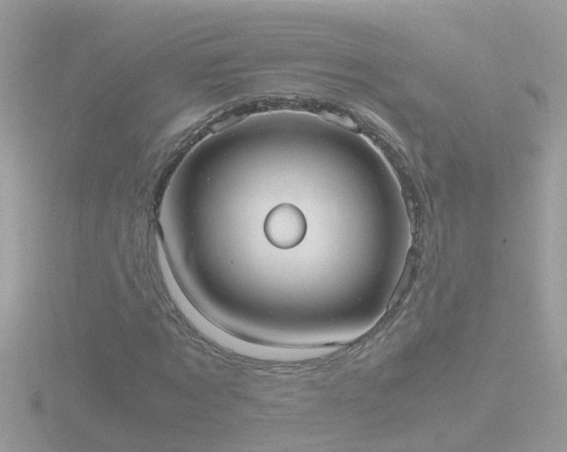 X0000116780869200912241140