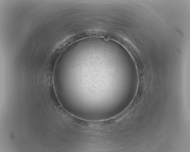 X0000116780870200912241140