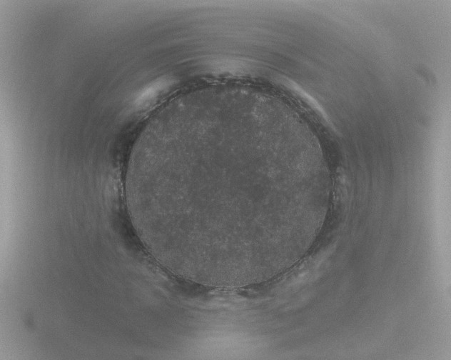 X0000116780918200912241139