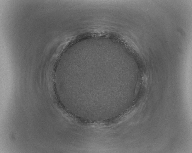 X0000116780961200912241139