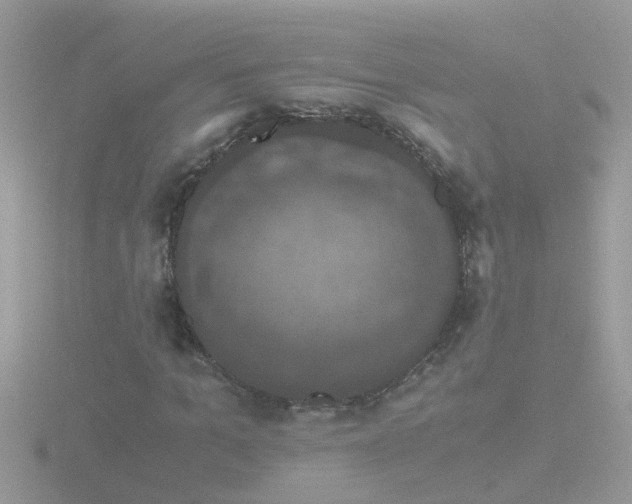 X0000116780965200912241139