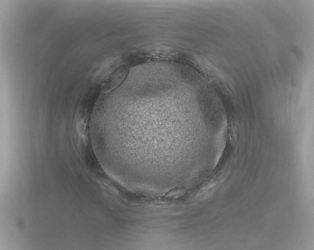 X0000116781010200912241138