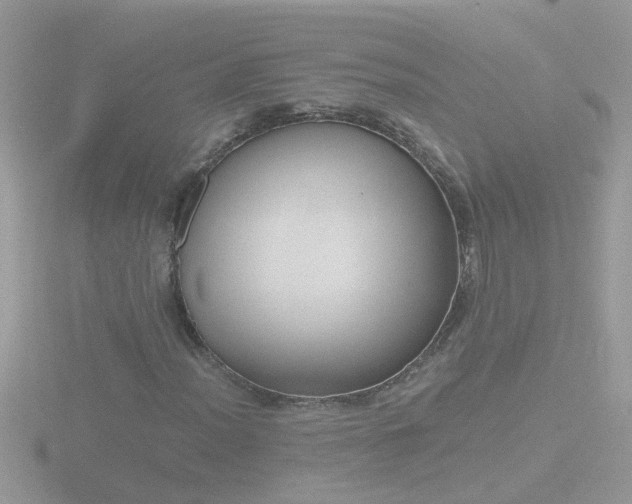 X0000116781012200912241138