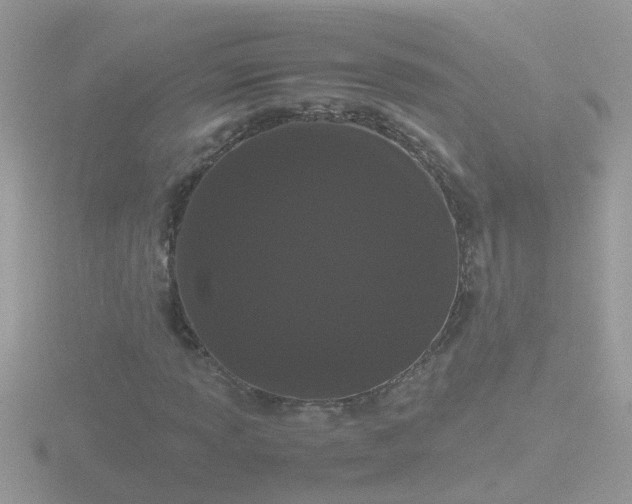 X0000116781013200912241138