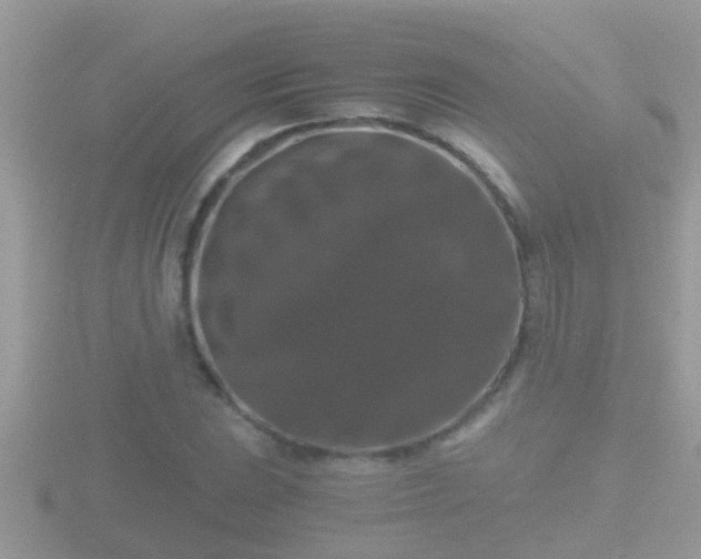 X0000116781023200912241138