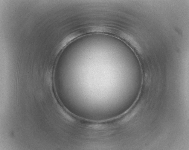 X0000116781033200912241138