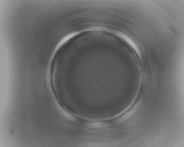 X0000116781045200912241138