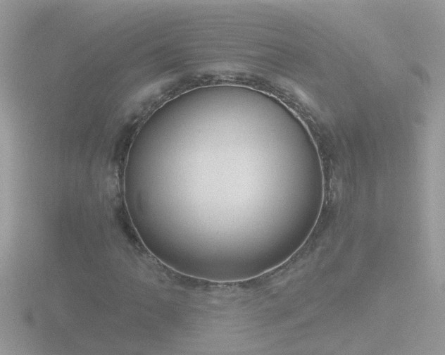 X0000116781062200912241138