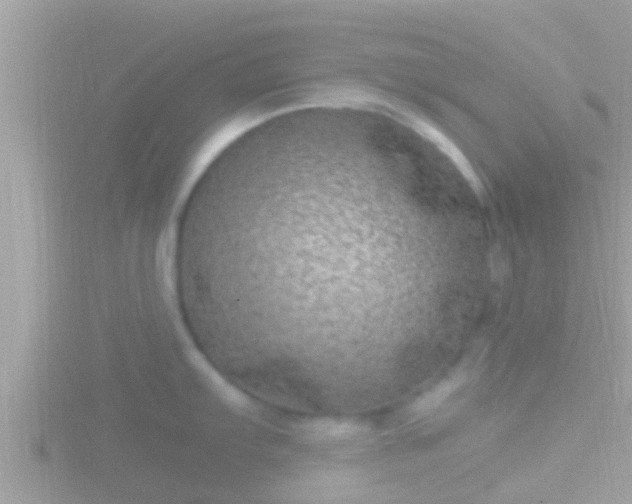 X0000116781103200912241137