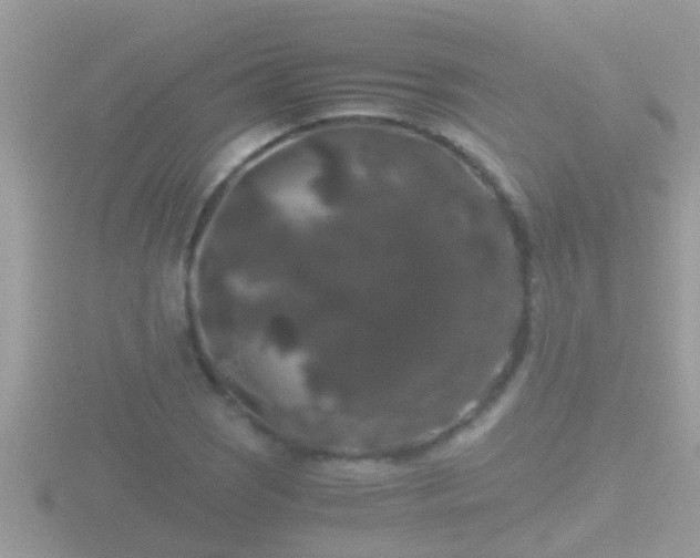 X0000116781121200912241137