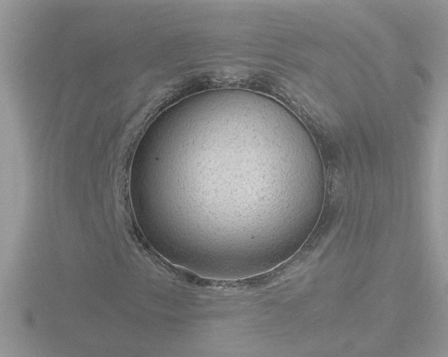 X0000116781153200912241137