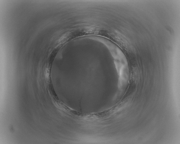 X0000116781154200912241137