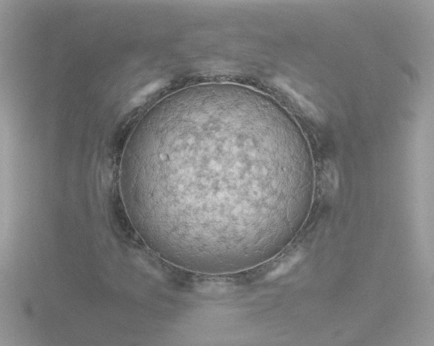 X0000116781157200912241137