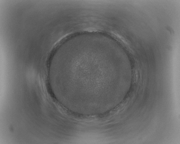 X0000116781158200912241137