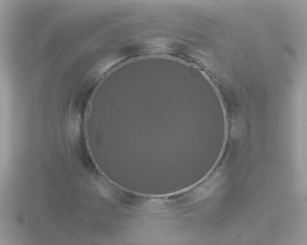 X0000116781161200912241137