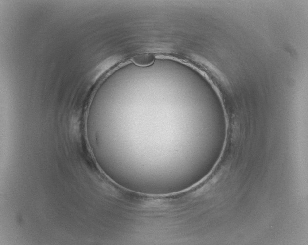 X0000116781162200912241137