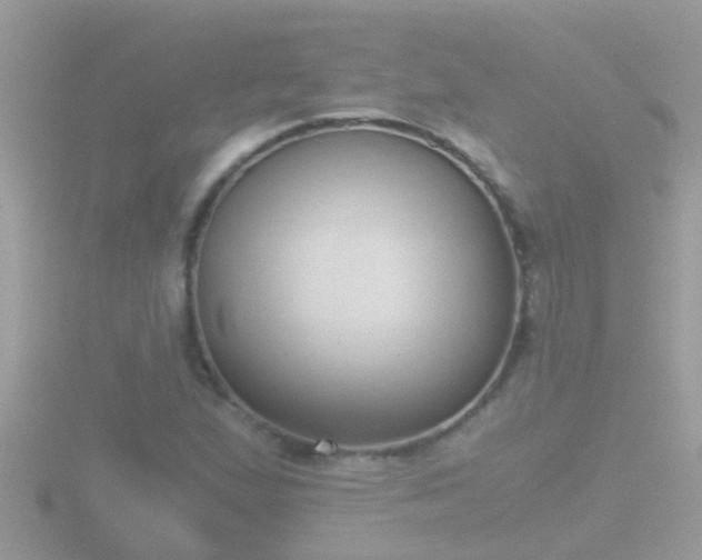 X0000116781167200912241137