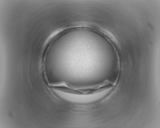 X0000116781172200912241136