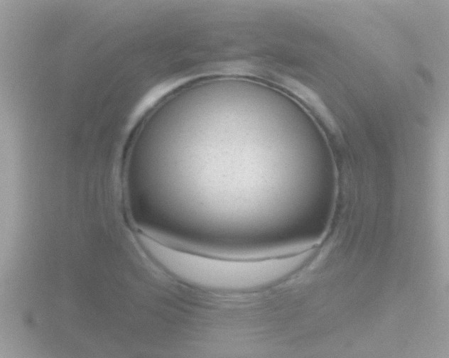 X0000116781176200912241136