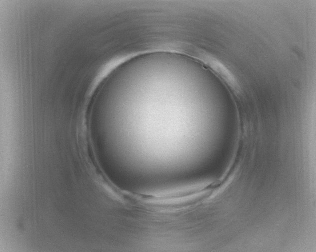 X0000116781184200912241136