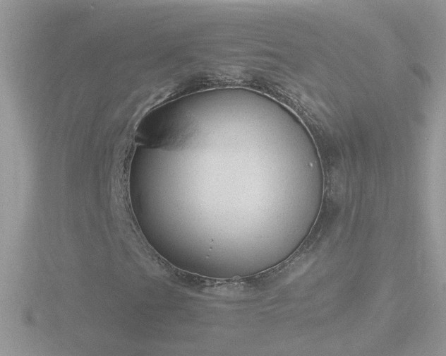 X0000116781201200912241135