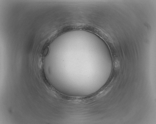 X0000116781204200912241136