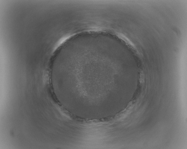 X0000116781208200912241136