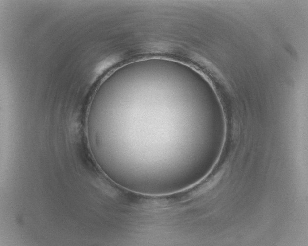X0000116781210200912241136
