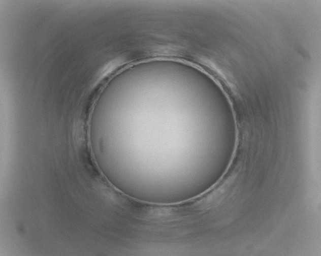 X0000116781211200912241136
