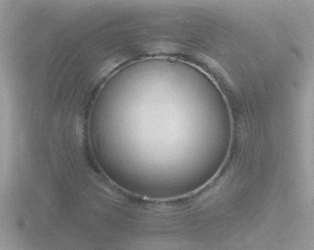 X0000116781217200912241136