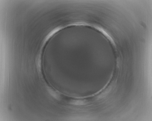 X0000116781229200912241136