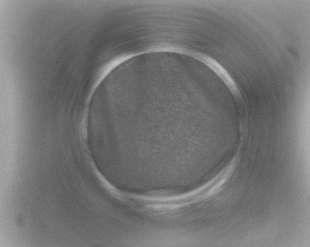 X0000116781244200912241136