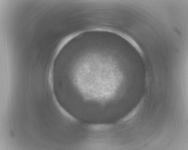 X0000116781247200912241136