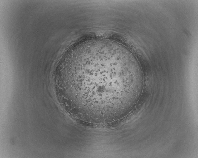 X0000116781249200912241135