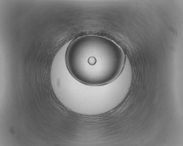 X0000116781252200912241135