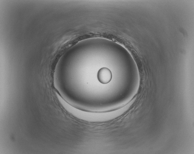 X0000116781253200912241135