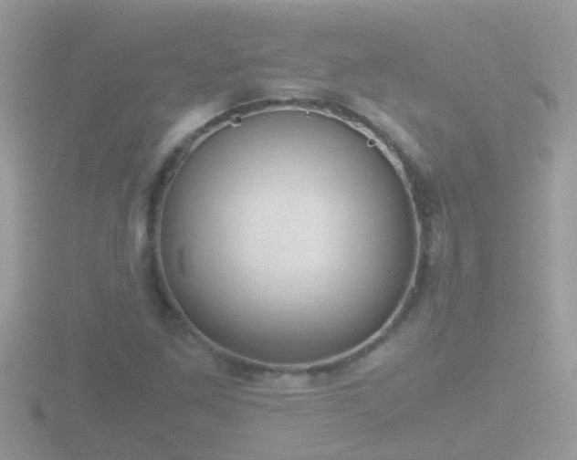 X0000116781261200912241135