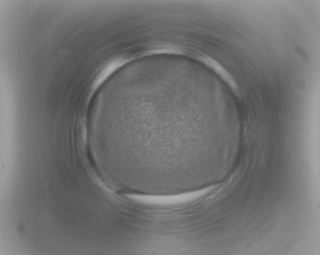 X0000116781274200912241135