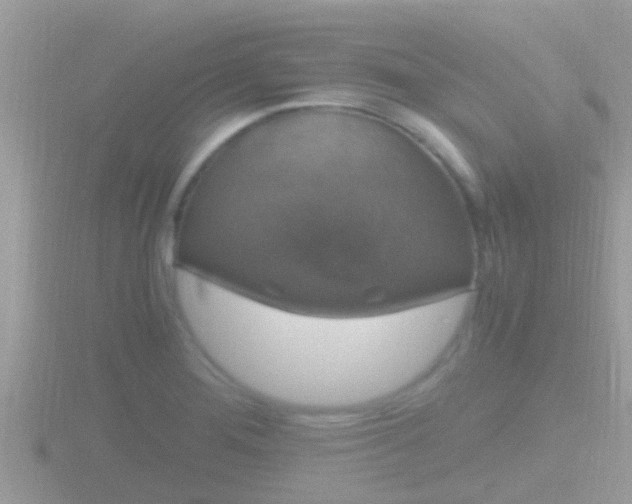 X0000116781276200912241135