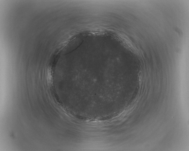 X0000116781298200912241134
