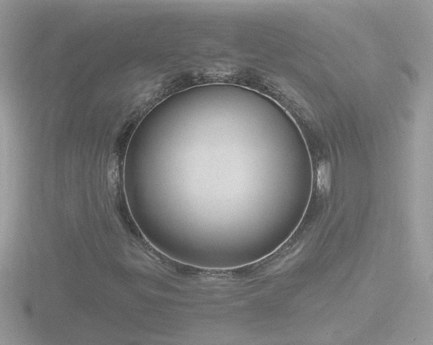 X0000116781299200912241134