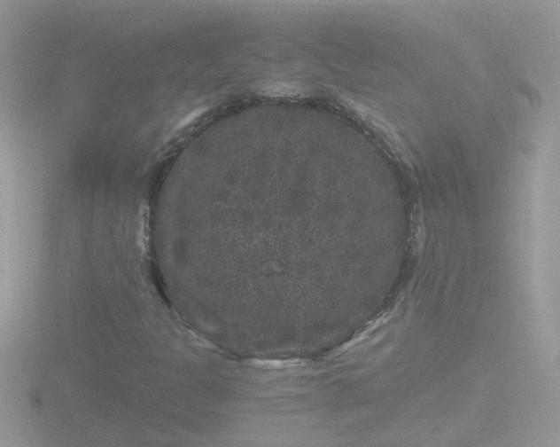 X0000116781301200912241134