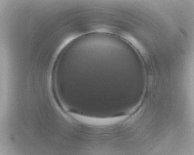 X0000116781331200912241135