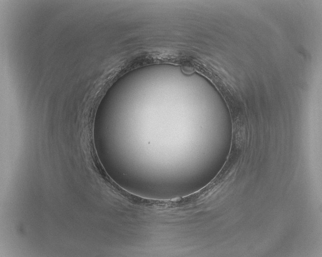 X0000116781345200912241134