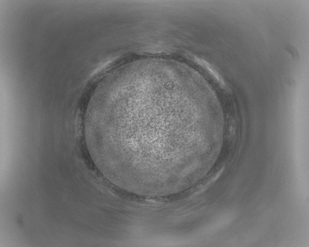 X0000116781350200912241134