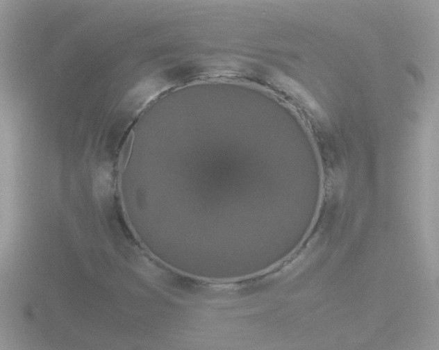 X0000116781353200912241134